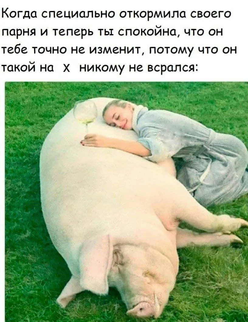 2b0fd960-e21c-4117-ad8b-503860d526f3.webp