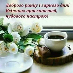 2b2c4b6e807a8a78d613a0635fad8180 (1).webp