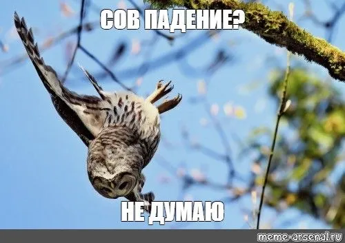2b61f3b3285e4af937d9c031ee37eb5d.webp
