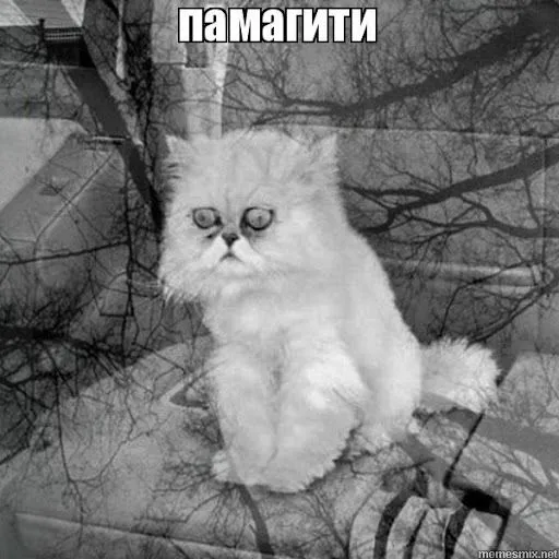 2BC6B378-F6CA-48CA-B6E1-CCE7D18D6C74.webp