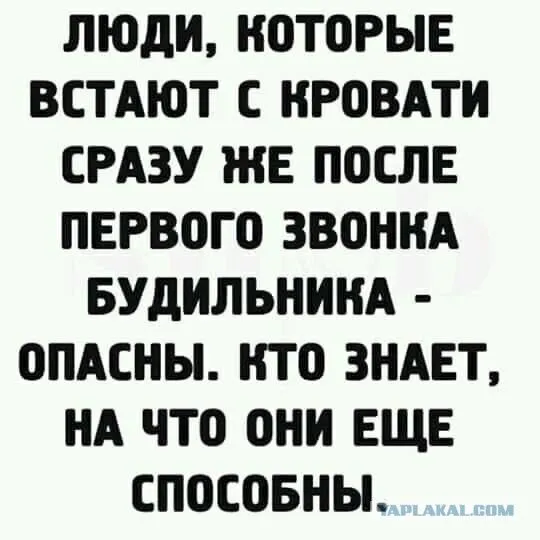 2d4e93adbf6bd61c46d312c5c7cd1167.webp