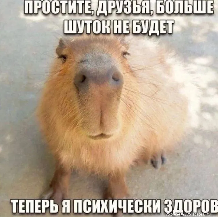 2d9524f13401a984112fa09da6c5d926-world10.spcs.bio.webp