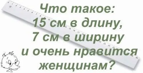 306679.webp