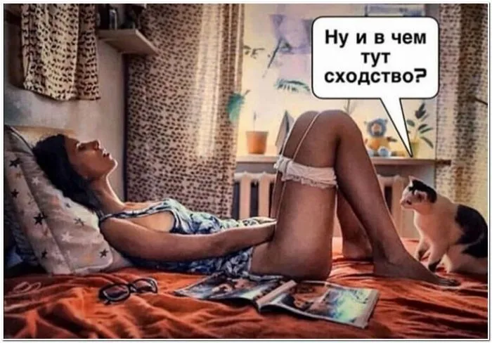 31961471.webp