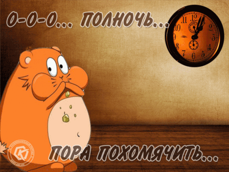 33060ceea56e8057fe229db33263a09c-730x548.gif