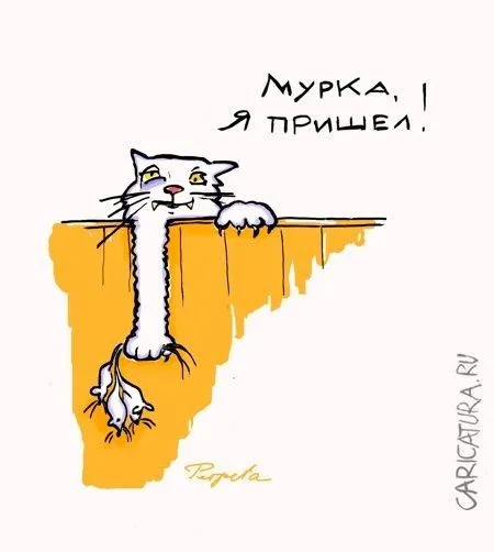 33111a9f6dc1fcefa4142a54984bb1d9.webp