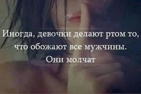 339a10653f4051201ecaf1d04d271674.webp