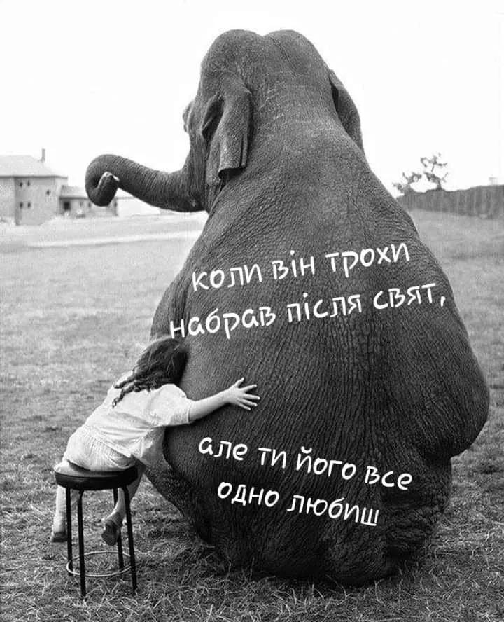 35739256-FD0C-4FB1-A66A-45C2941A2BB9.webp