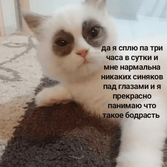 360E88F0-6A0C-4F49-AA4B-692527A99B9F.webp