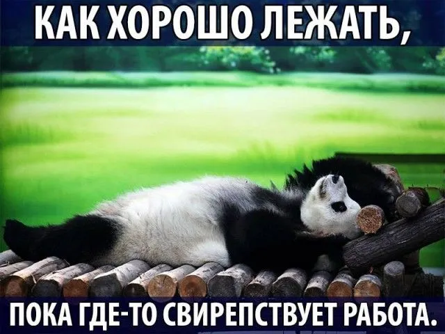 40.webp