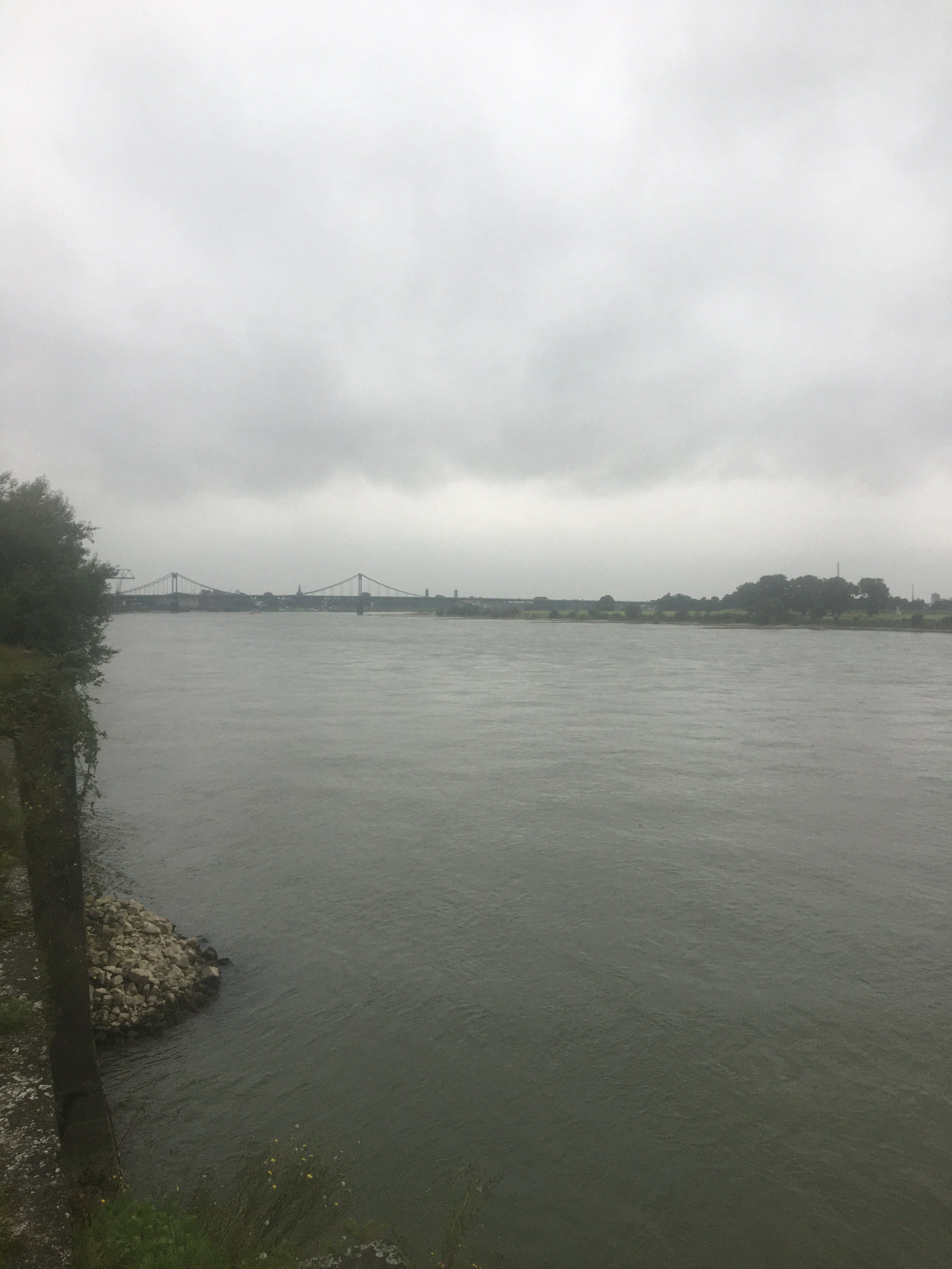 403B5390-E1D3-4D07-B9CE-EFA4CD5738CF.webp
