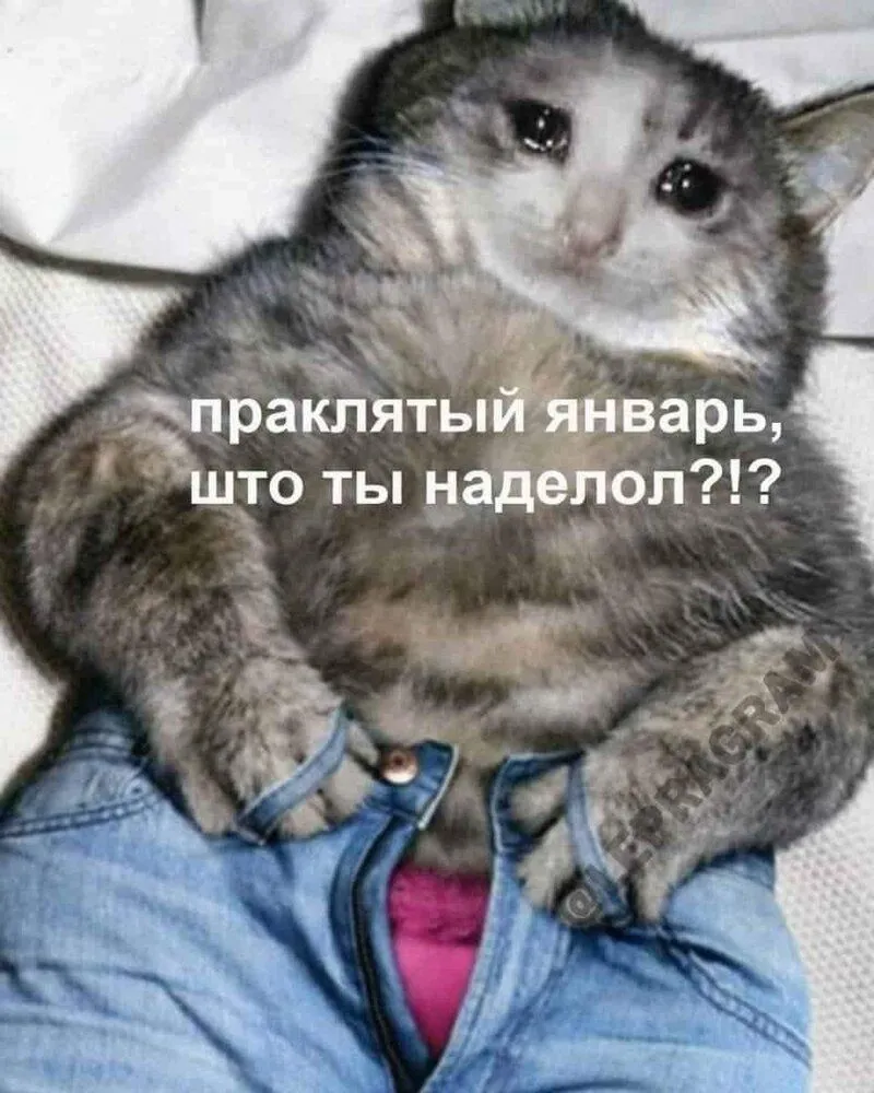 4080B539-11ED-4CA4-8368-CCF6FF67A8C2.webp