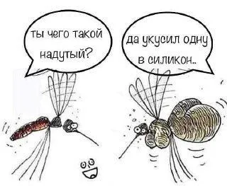 4129202fdabcf2ad99587058cfb8ac4a.webp