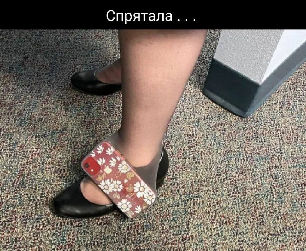 41ed8c7426d9001ff8e30d389fa54aa3b95e040e8a1e86d632e24a3d30205771_1.jpg.webp