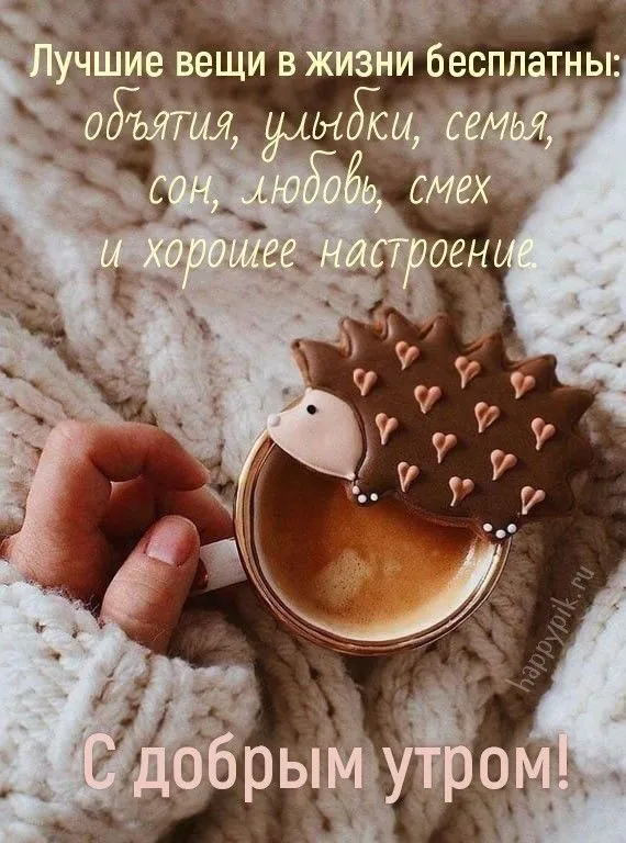 43c85bba331e0ff4265fce5b5faa5eed.webp
