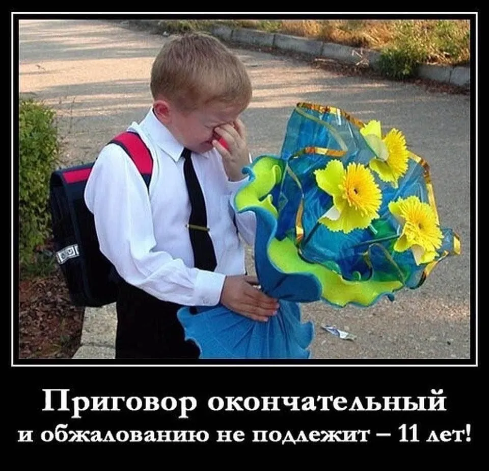 45A37FCB-DE1D-4216-B980-E99F74299BBB.webp