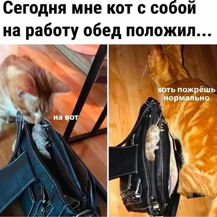 45bea929109d0fa67c79e6b45dbcfbd2.webp