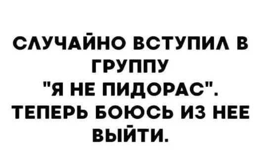 4703C792-1124-4EF4-B033-C109798DED46.webp