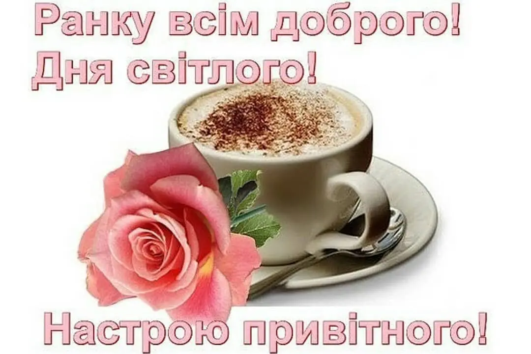 47267868_279758739397862_4399840905636962070_n.webp