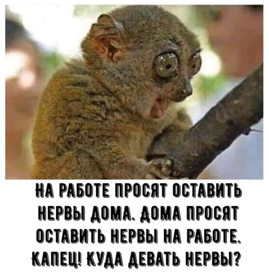 47B12369-CAAC-40DE-AEC1-FFF176656A57.webp