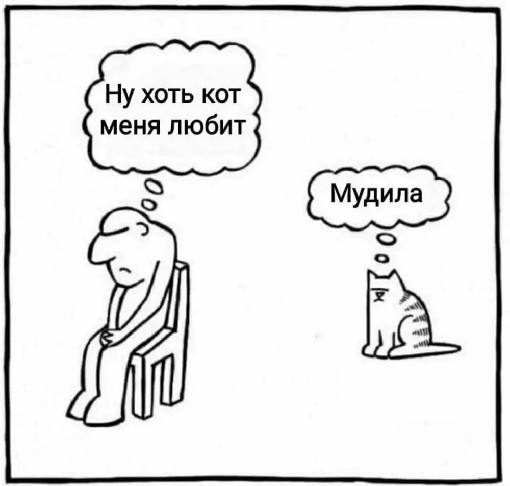 48E11ACC-7A36-4719-9CC6-4D3B8B0471B4.jpeg
