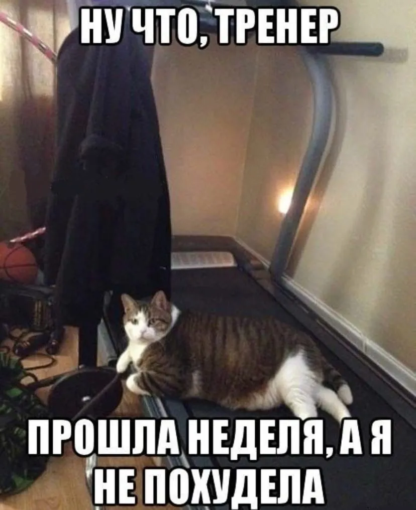 4C544vm7XyI.webp