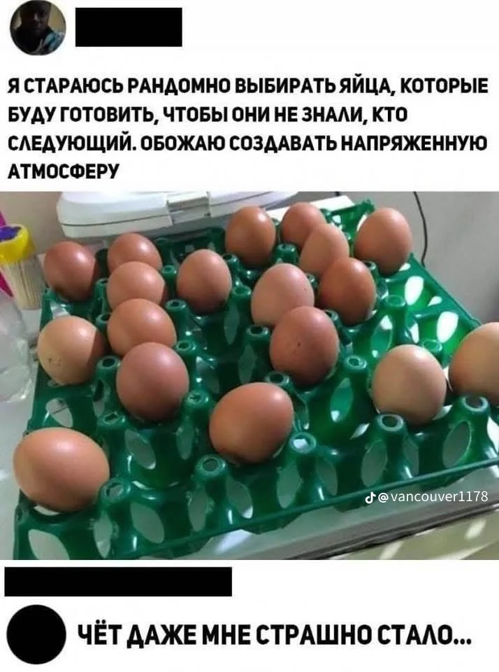4de41054c6d64693bb56f256d99272f3.webp