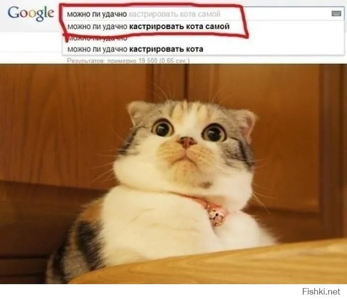 4df91d5e78b6f4f47115dbbc33a09124.webp