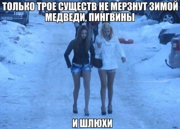 -4WtRREV6PI.jpg