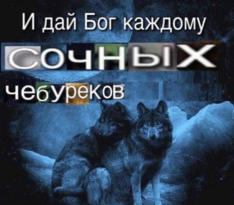 50923a2c9a69ee5f0e13f6759e98a58e.webp