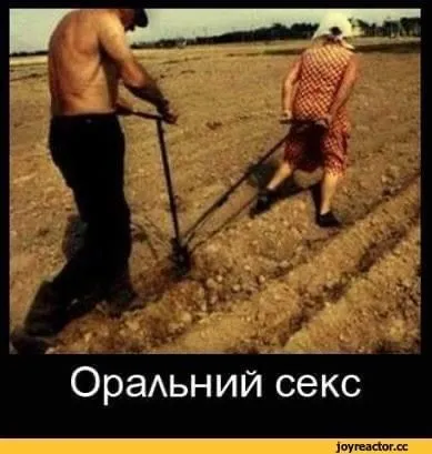 51CDD9AB-0F05-4C6C-B2F6-E8D74F2651B9.webp