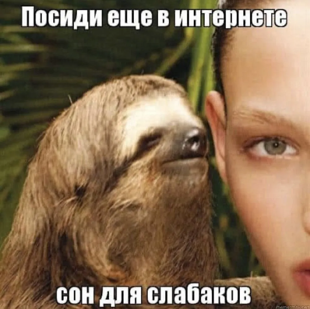 5251FF50-2494-4367-AF18-B1BA1D07C85D.webp