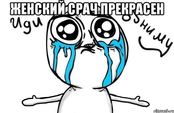 535.webp