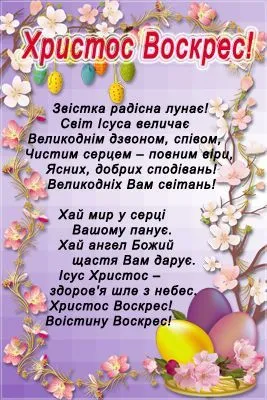 5402eb043294b9395182543ef7421d57 (1).webp