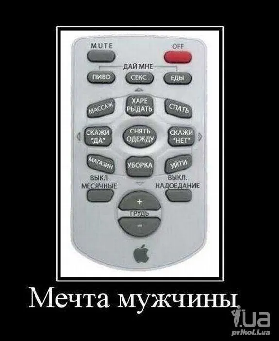 541947.webp