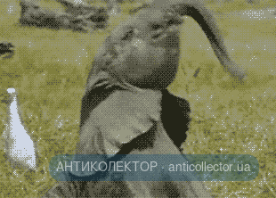 544aa5f93cc1f21886031df248c6cf12.gif