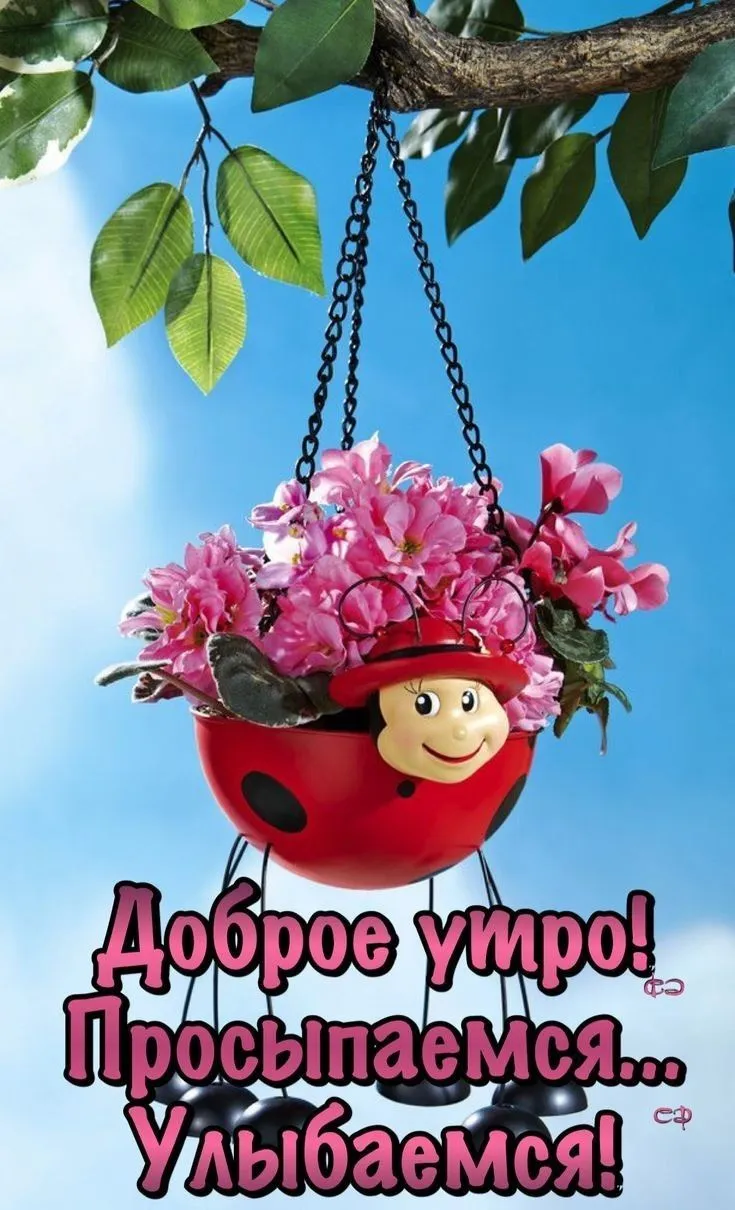 55484d5e62e7f201a0f09cddd3cb0a38.webp