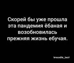 555.webp