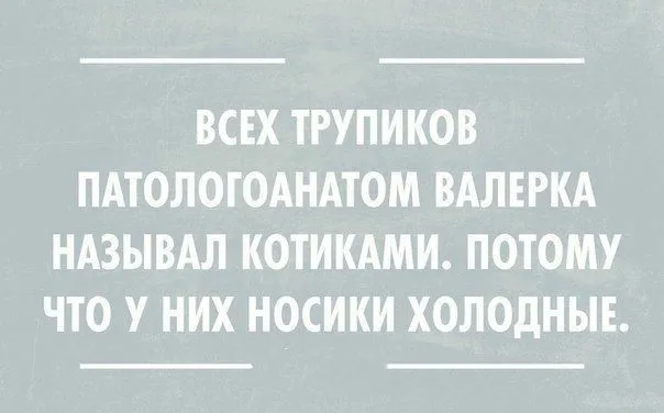 5555.webp
