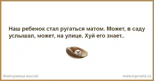 5555.webp
