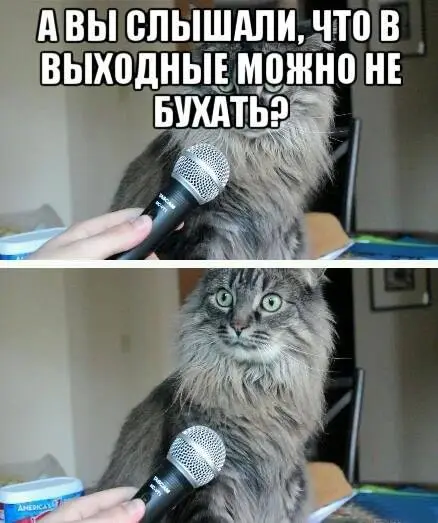 56595393_371087406827594_8908380763158740992_n.webp