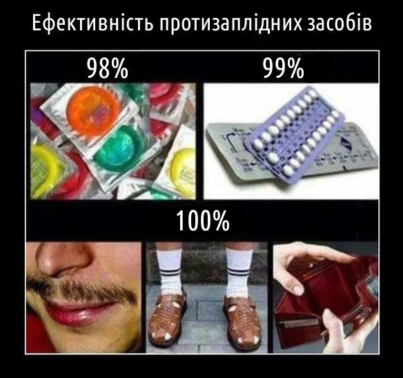 5784975a48a82.webp