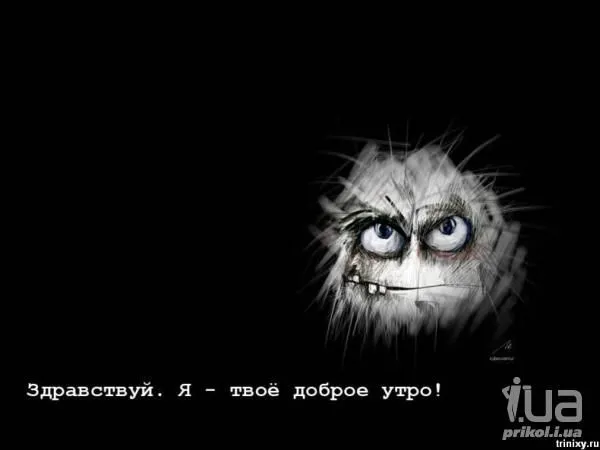 585683.webp