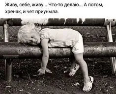 59dd3374c8b7debe45b20e1d941c4627.webp