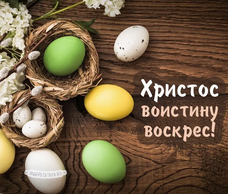 59E61B56-71EA-4C82-B640-F7EE1DCA78EF.webp