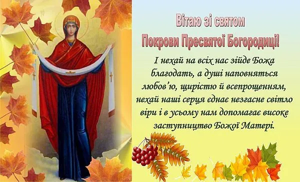 5bc2dbac1641b.webp
