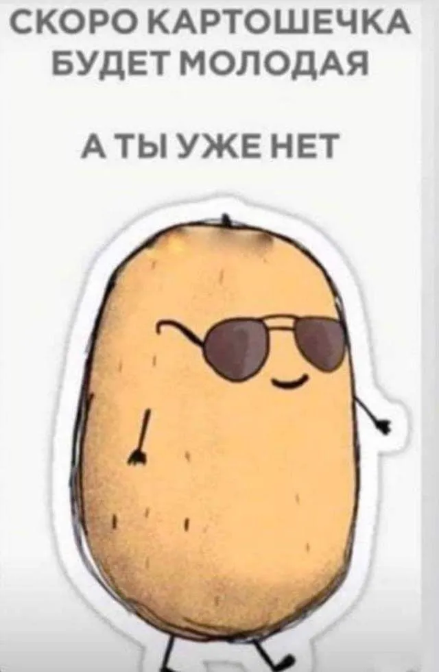 5CE65263-3C59-4E7A-855D-781A8D28B5D8.webp