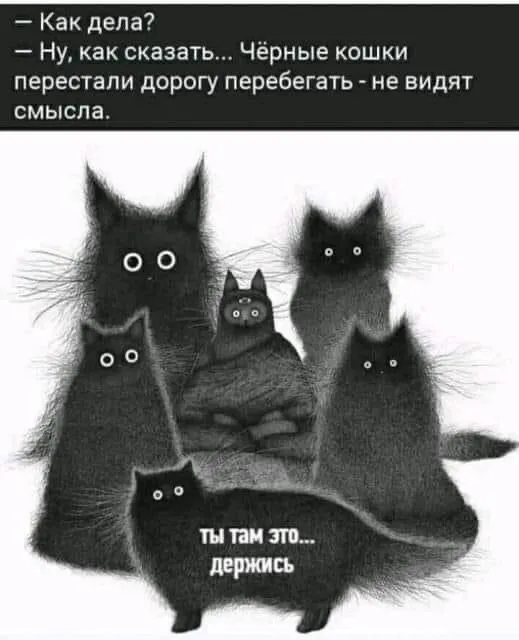 5EEC06C7-A3DB-4CC6-BD38-833583CC6EB4.webp