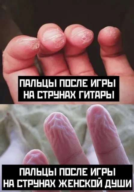 5f85ec9d3b762.jpg