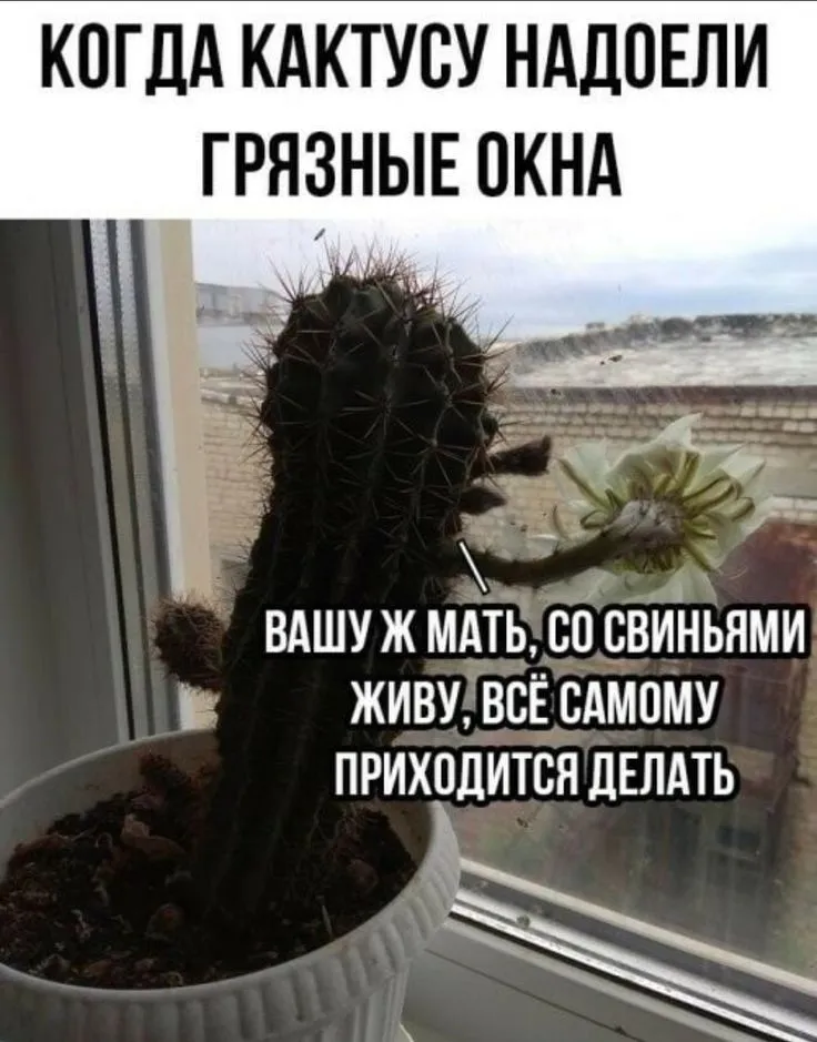 606db0d274826cd239565c14e8588610.webp